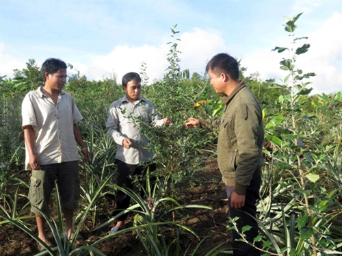 Ch’Ơm cất cánh từ lợi thế địa phương