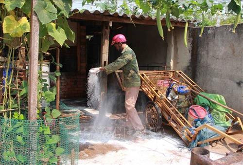 Quảng Trị phòng, chống dịch lở mồm long móng trên đàn gia súc