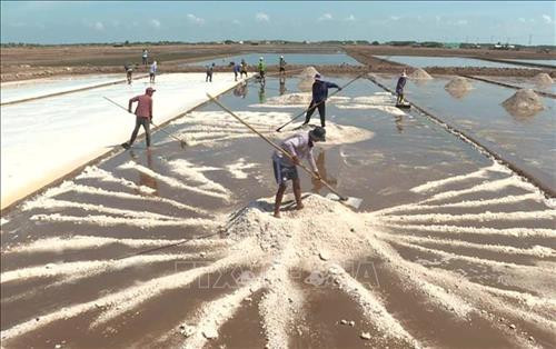 Sóc Trăng: Chương trình OCOP thúc đẩy phong trào khởi nghiệp tại địa phương