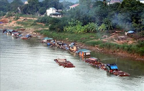 Phát triển nuôi cá đặc sản trên sông Lô, sông Gâm