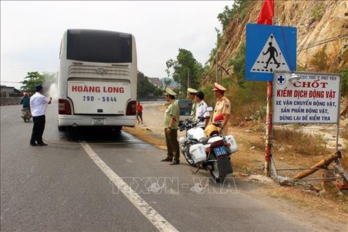Hỗ trợ quốc tế giúp Việt Nam ứng phó dịch tả lợn châu Phi