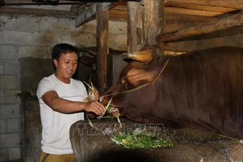 Mô hình kinh tế tổng hợp - hướng đi mới của đồng bào vùng cao Hà Giang
