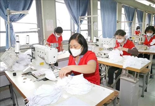 Việt Nam có thể trở thành một quốc gia sản xuất khẩu trang vải lớn trên thế giới