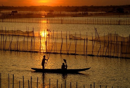 Vẻ đẹp Đầm Chuồn