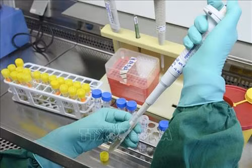 Hãng dược phẩm của Nhật Bản nộp đơn xin cấp bằng sáng chế vaccine phòng COVID-19