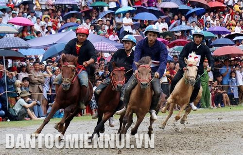 Hấp dẫn giải đua “Vó ngựa cao nguyên trắng”