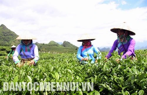 Lai Châu nỗ lực giảm nghèo bền vững