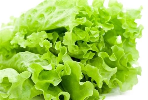 Công dụng ít biết của rau xà lách