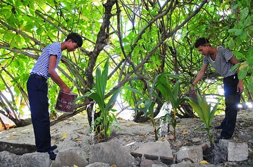 Màu xanh Nam Yết