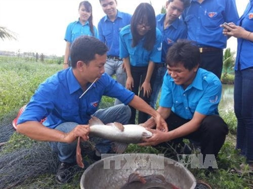 Khởi nghiệp – nhìn từ Thành phố Hồ Chí Minh: Khơi dậy tinh thần khởi nghiệp