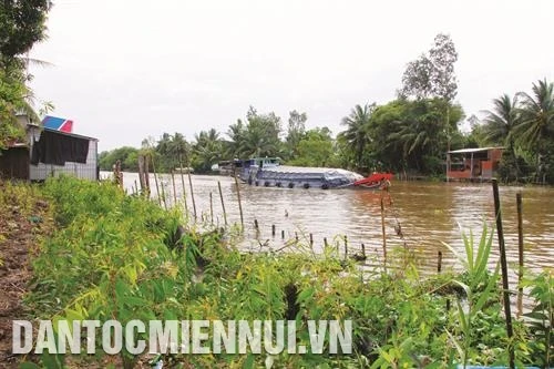 Kè sinh thái – Giải pháp chống sạt lở