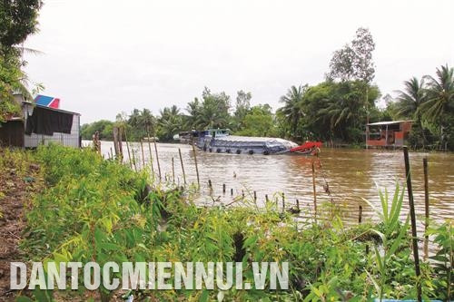 Kè sinh thái – Giải pháp chống sạt lở