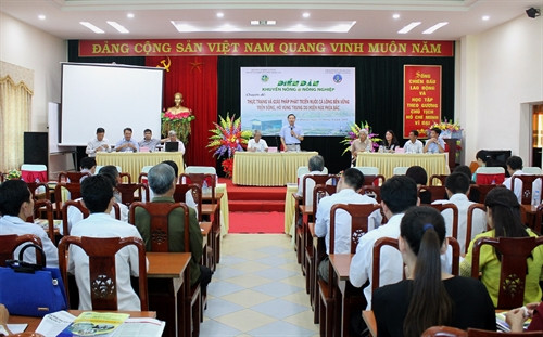 Tìm giải pháp phát triển nuôi cá lồng bền vững trên sông, hồ vùng trung du miền núi phía Bắc