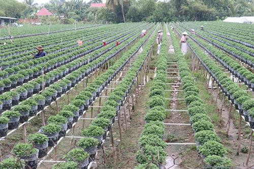 Nhiều mô hình hay, cách làm sáng tạo ở Đồng Tháp
