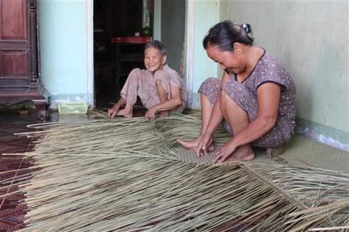 Giữ nghề đan bao đệm bàng ở Đức Huệ