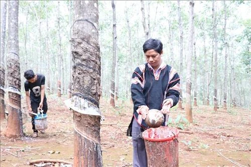 Kpă Meo chu toàn việc nước, làm kinh tế giỏi
