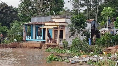 An Giang khẩn cấp gia cố sạt lở bờ kênh