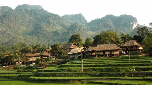 Nhà ở của người Mường Phú Thọ