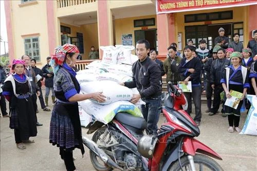 Hỗ trợ phòng chống rét cho trâu, bò tại huyện vùng cao Mù Cang Chải