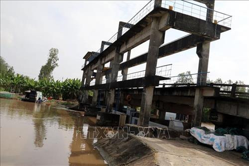 Chủ động phòng, chống xâm nhập mặn ở Đồng bằng sông Cửu Long