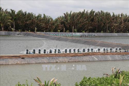 Tiền Giang nâng cao hiệu quả khai thác nguồn lợi từ biển