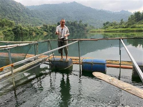 Nghệ An gỡ khó cho kinh tế trang trại