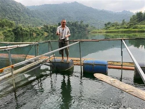Nghệ An gỡ khó cho kinh tế trang trại