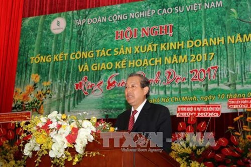 Cao su Việt Nam tăng chế biến sâu để giảm xuất thô
