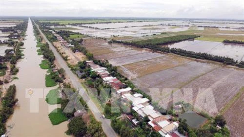 Nông dân Long An có thêm thu nhập từ mùa nước nổi