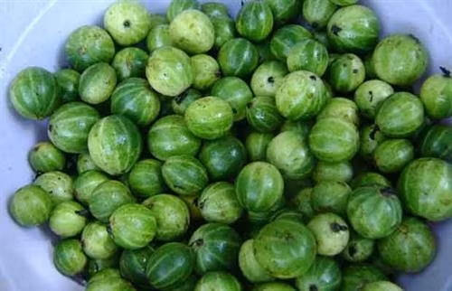 Cà Đắng - Prền Bơtang trong bữa ăn người Cơ Ho