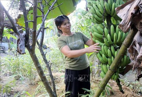 Huyện vùng cao Lang Chánh giảm nghèo bền vững nhờ Nghị quyết 30a