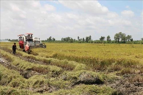 Tiếp tục đổi mới, nâng cao hiệu quả kinh tế tập thể lĩnh vực phi nông nghiệp