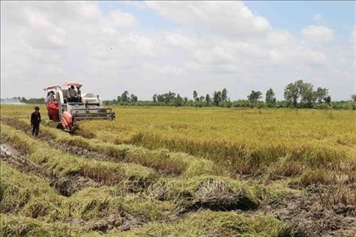 Tiếp tục đổi mới, nâng cao hiệu quả kinh tế tập thể lĩnh vực phi nông nghiệp