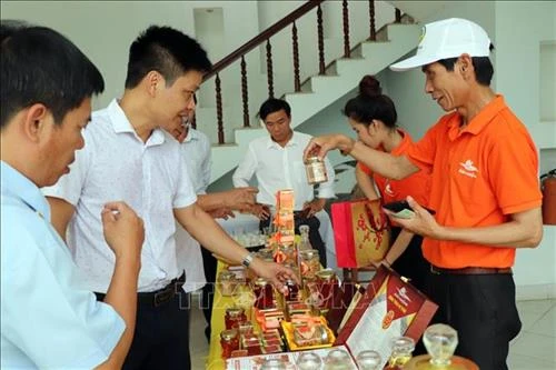 Hơn 42% số xã ở Duyên hải Nam Trung bộ và Tây Nguyên đạt chuẩn nông thôn mới