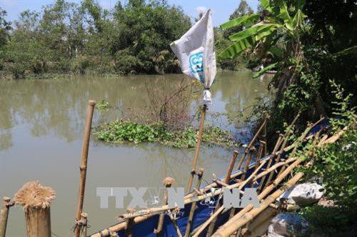 Tiền Giang sản xuất thích ứng hạn mặn, giảm nhẹ thiên tai