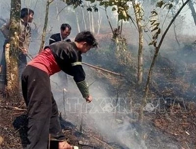 Huyện vùng cao Trạm Tấu chủ động phòng chống cháy rừng mùa khô hanh