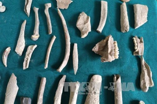 Khai quật di chỉ tiền sử hang Pắc Tà