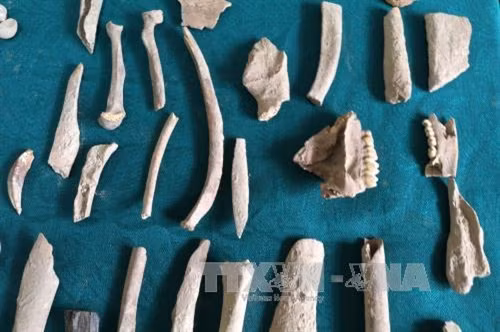 Khai quật di chỉ tiền sử hang Pắc Tà