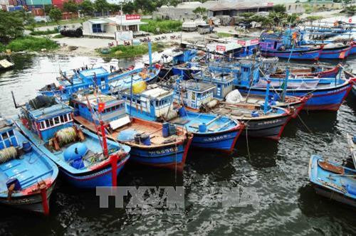 Đà Nẵng chủ động ứng phó với mưa lớn diện rộng