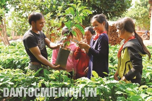 Chư Sê hỗ trợ vốn vay giúp đồng bào phát triển sản xuất