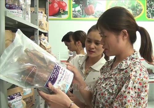 Tạo thương hiệu cá tép dầu sông Đà