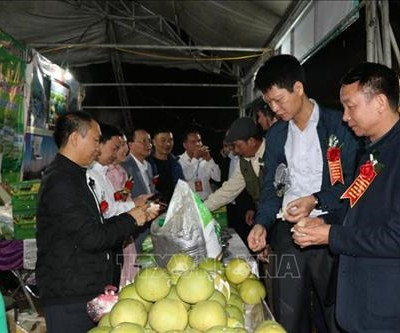 Lễ hội bưởi Đại Minh và khám phá danh thắng hồ Thác Bà năm 2019