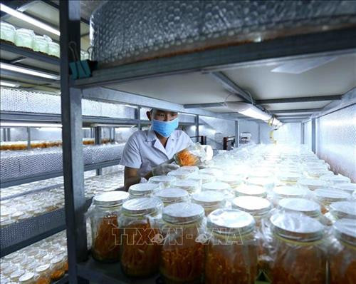 Bắc Giang quan tâm phát triển kinh tế - xã hội vùng đồng bào dân tộc thiểu số, miền núi