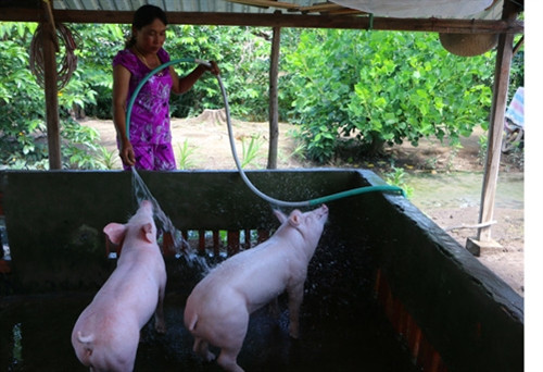 Hỗ trợ nông dân Khmer thoát nghèo