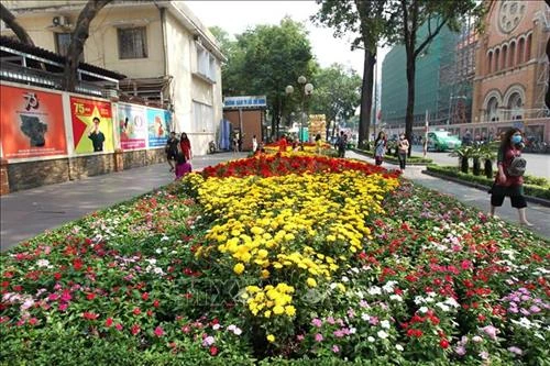 Mai, đào cùng khoe sắc trong nắng xuân phương Nam