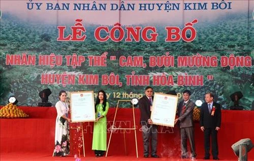 Hòa Bình công bố nhãn hiệu tập thể sản phẩm cam, bưởi Mường Động