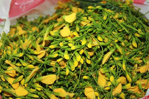 4 bài thuốc quý từ bông điên điển