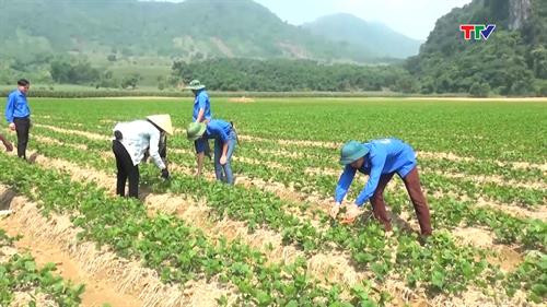 Thanh Hóa thu hút cán bộ trẻ về làm việc tại các hợp tác xã nông nghiệp