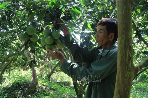  Hiệu quả sản xuất ở vùng ven biển Gò Công