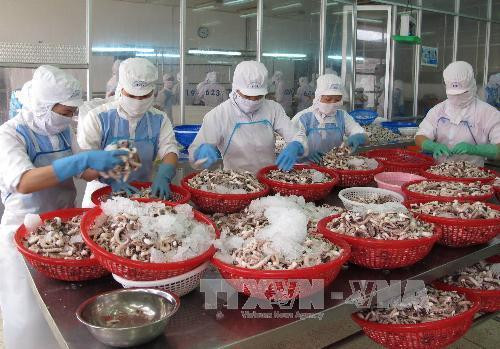 Hải sản Việt Nam nỗ lực trở lại “thẻ xanh” ở thị trường EU